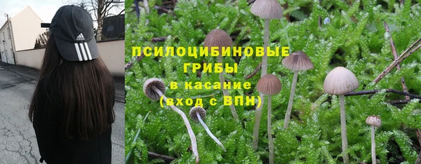 MESCALINE Аркадак